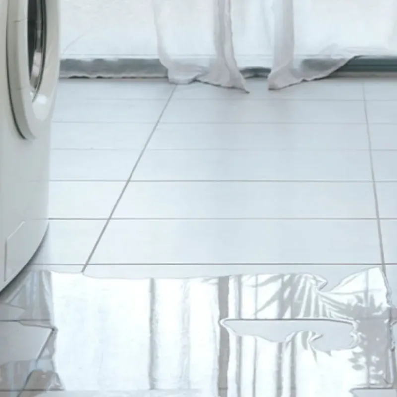 Appliance Leak Cleanup in Hastings, MI