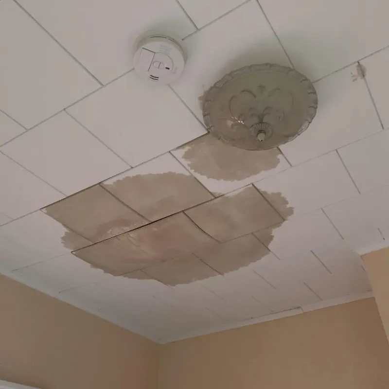 Ceiling Water Damage Repair in Hastings, MI