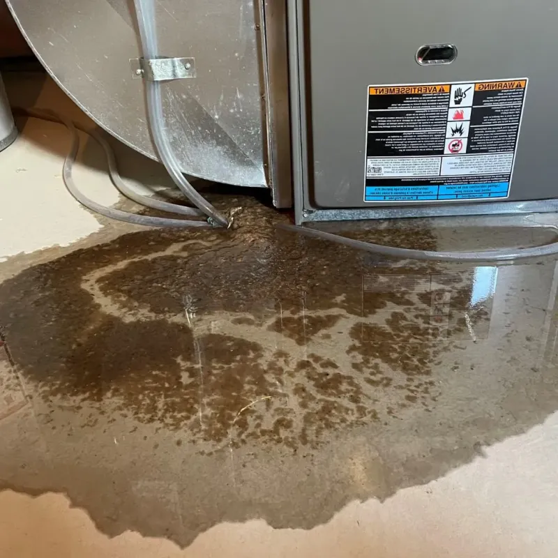 Pipe Burst and Leak Restoration in Hastings, MI
