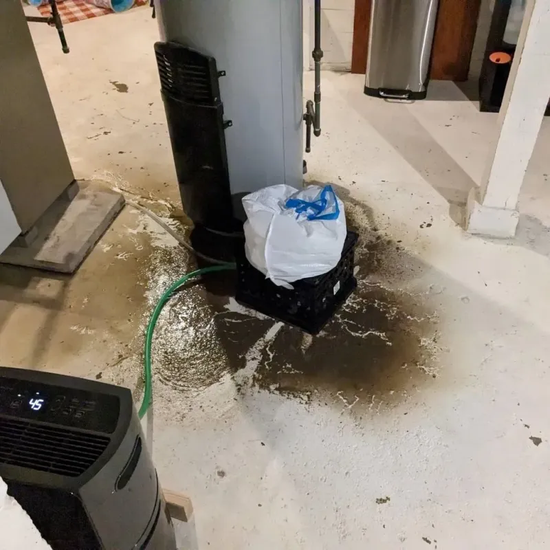 Sewage Backup Cleanup Service in Hastings, MI